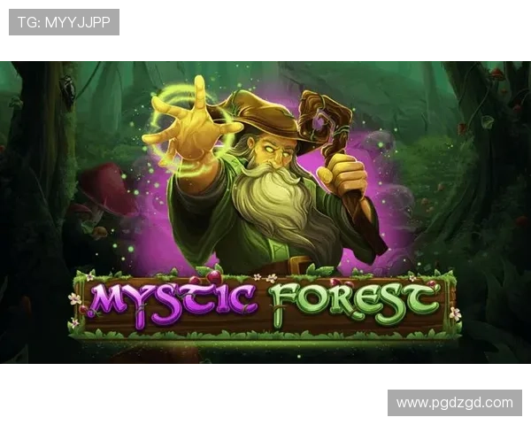 如何通过官方渠道安全登录PGSOFT平台避免账号信息泄露的实用技巧